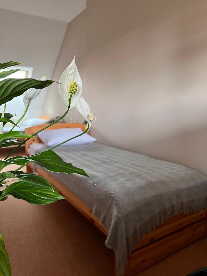 Hotel Marislav Cesnovice Extérieur photo