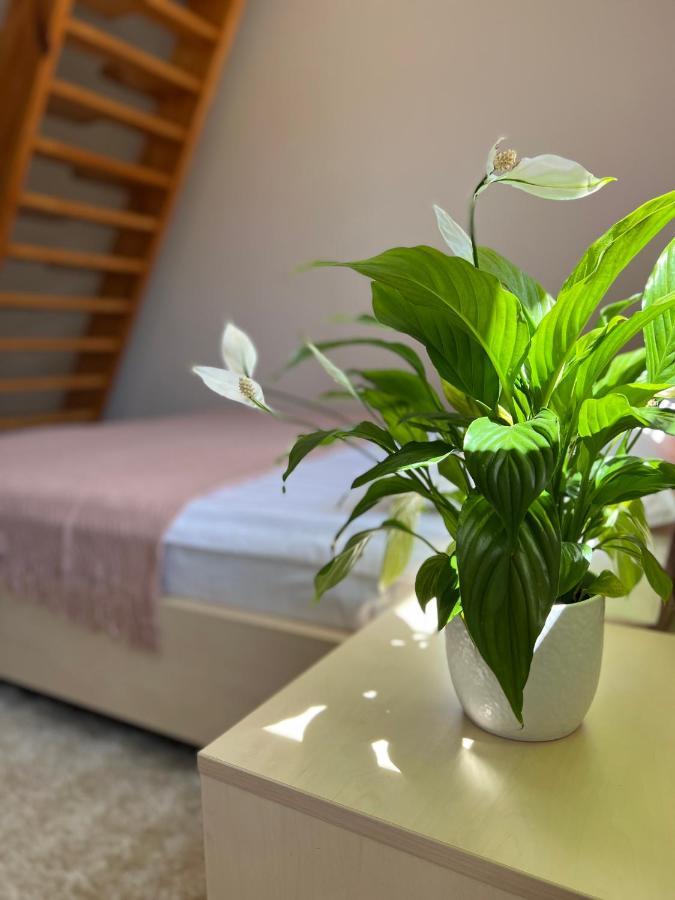 Hotel Marislav Cesnovice Extérieur photo