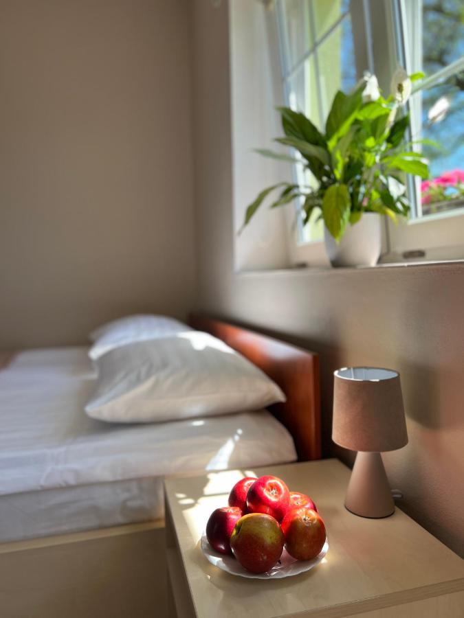 Hotel Marislav Cesnovice Extérieur photo