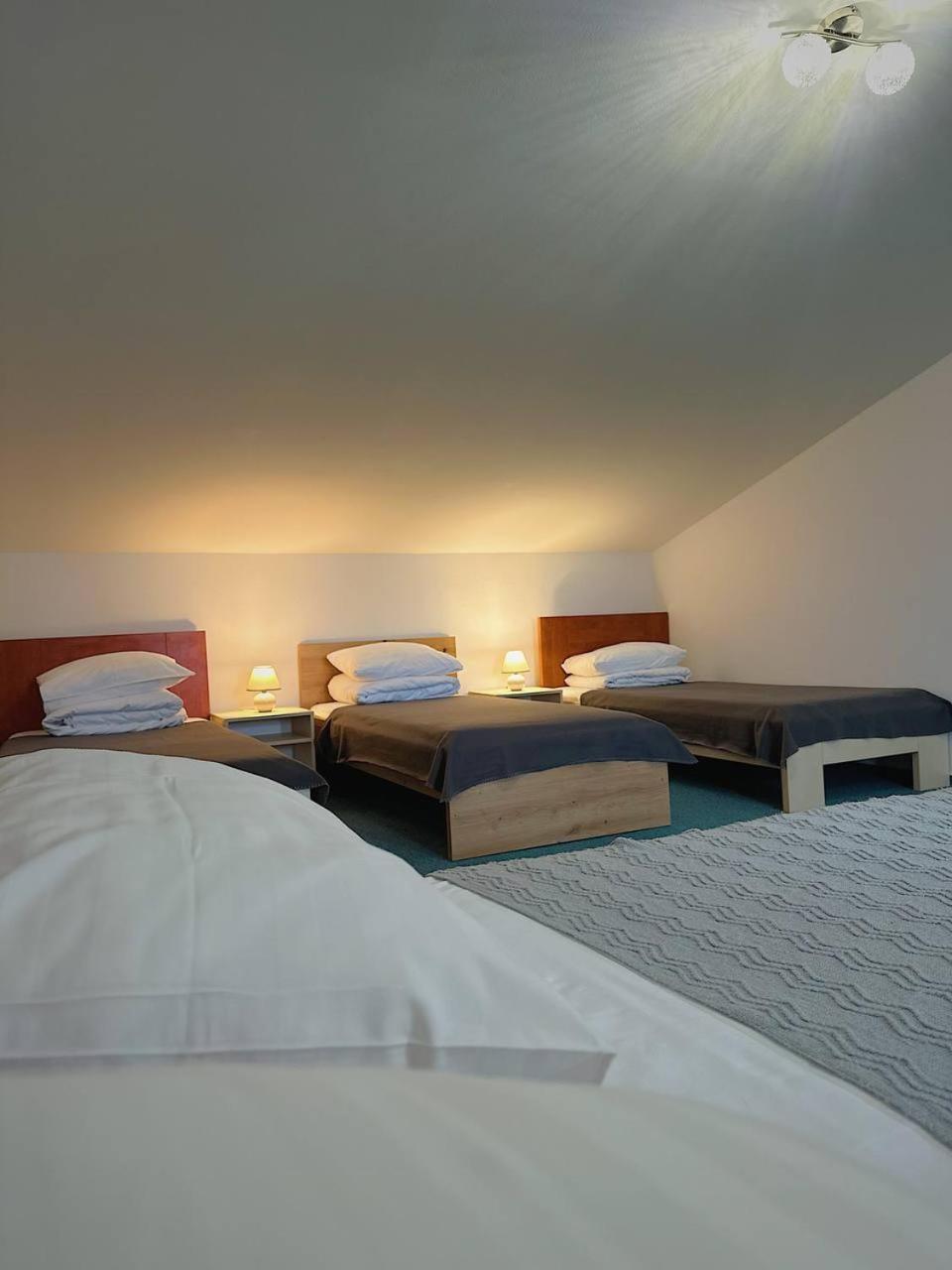 Hotel Marislav Cesnovice Extérieur photo